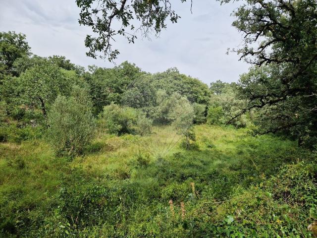 Terreno à venda em Pombal