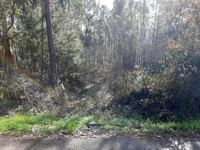 Terreno à venda em Pombal