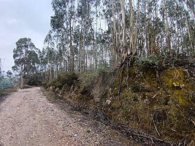 Terreno à venda em Pombal