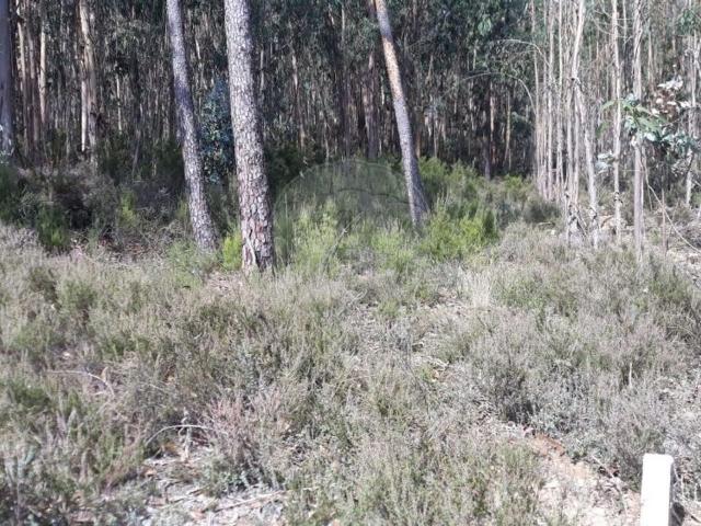 Terreno à venda em Pombal
