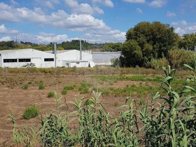Terreno à venda em Pombal