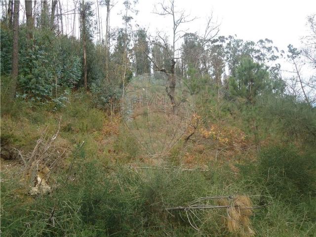 Terreno à venda em Ponte da Barca