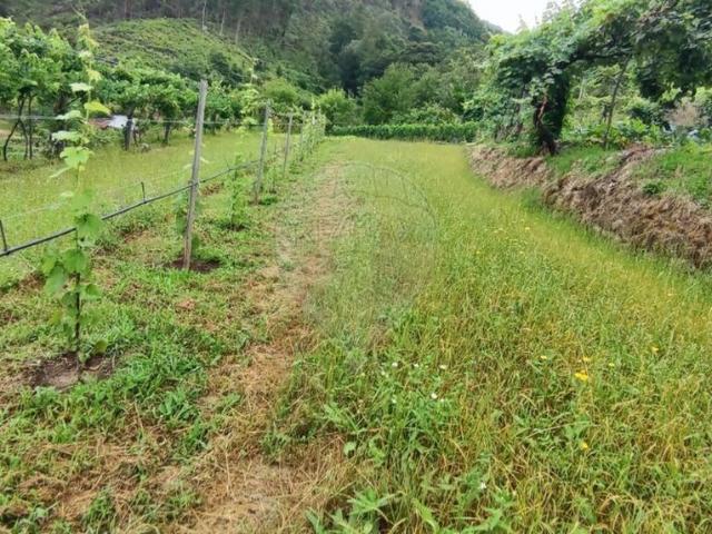 Terreno à venda em Ponte da Barca