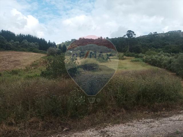 Terreno à venda em Porto de Mós