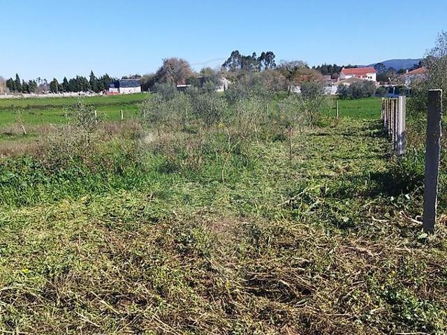 Terreno à venda em Porto de Mós