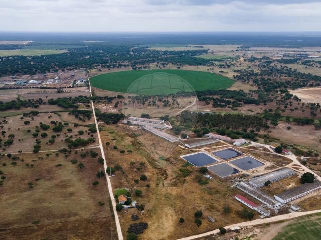 Terreno à venda em Palmela