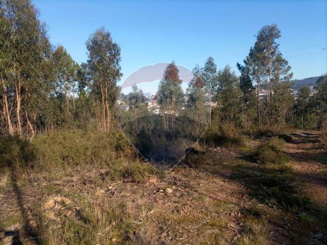 Terreno à venda em Paredes