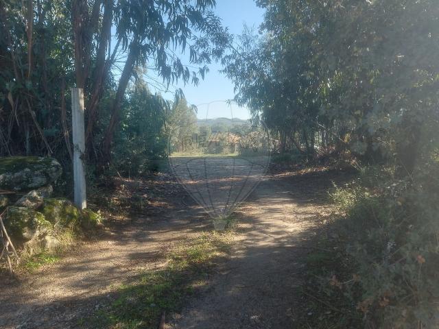 Terreno à venda em Penamacor