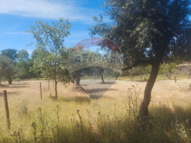 Terreno à venda em Penamacor