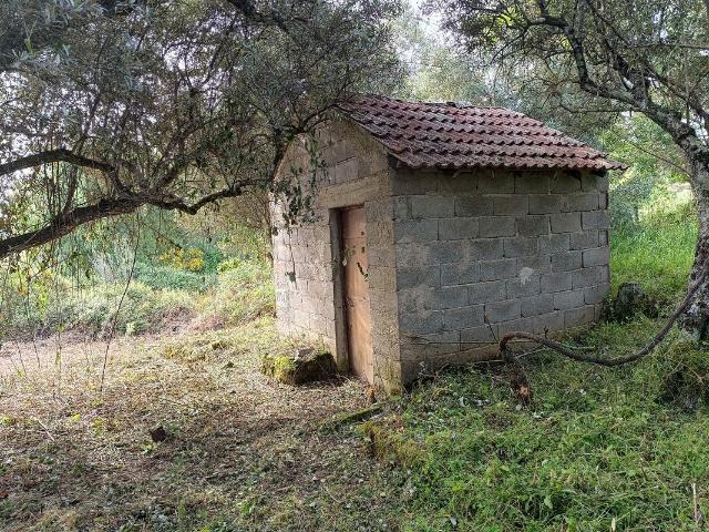 Terreno à venda em Penamacor