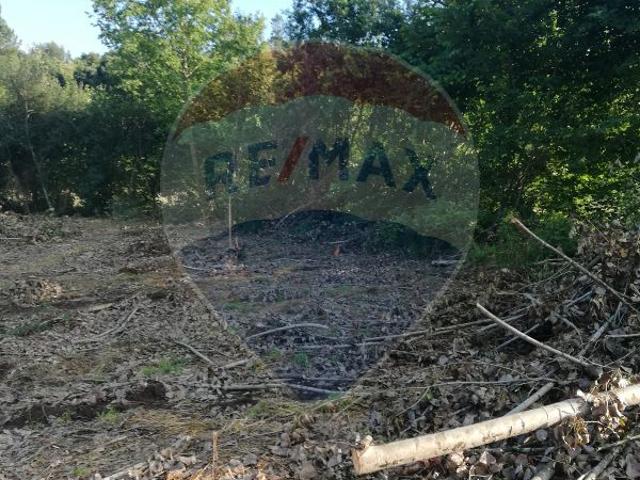 Terreno à venda em Penafiel