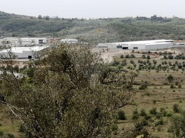 Terreno à venda em Penela