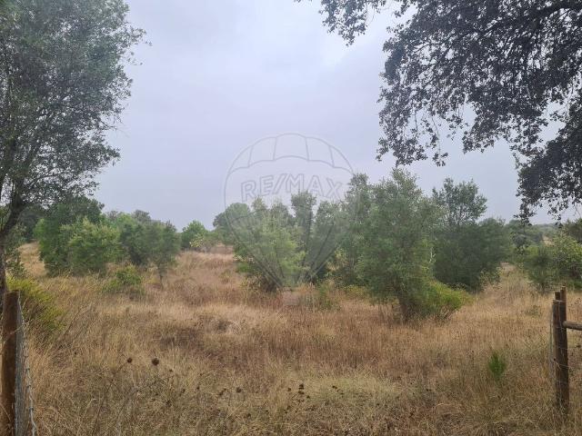 Terreno à venda em Tomar