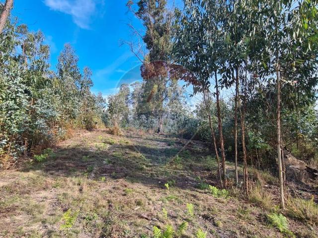 Terreno à venda em Tondela