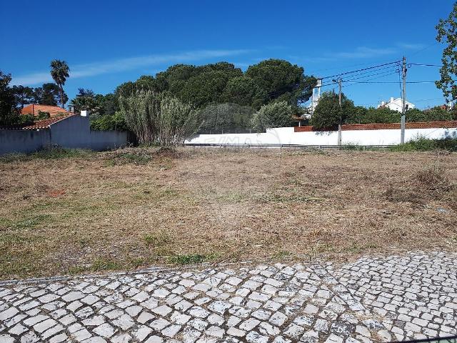 Terreno à venda em Torres Novas