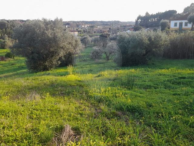 Terreno à venda em Torres Novas