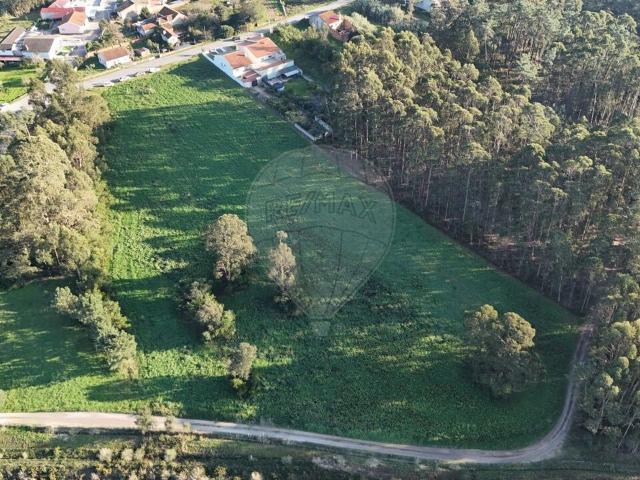 Terreno à venda em Vagos