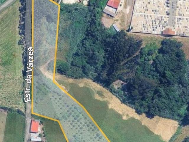 [EXCLUSIVO] Onde a Serenidade do Campo Encontra a Alma do Atlântico – Nazaré