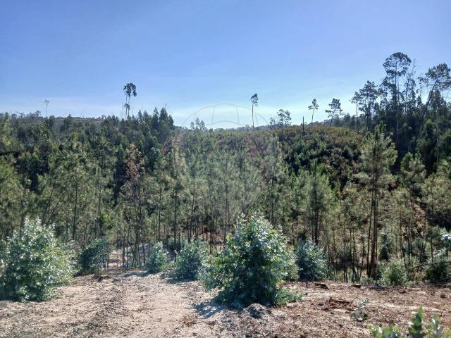 Terreno à venda em Vales