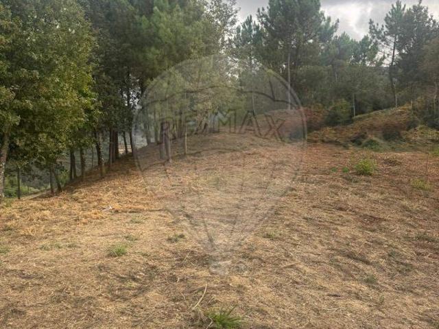 Terreno à venda em Vieira do Minho