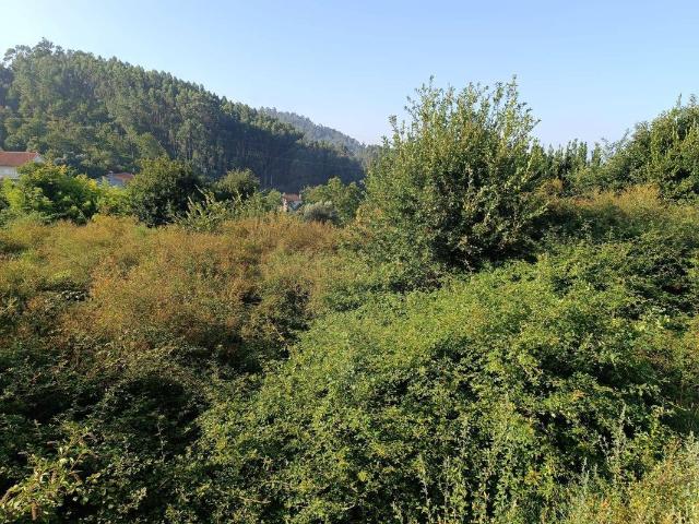 Terreno à venda em Vila Verde