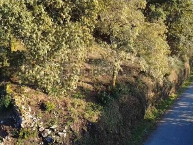 Terreno à venda em Vila Verde