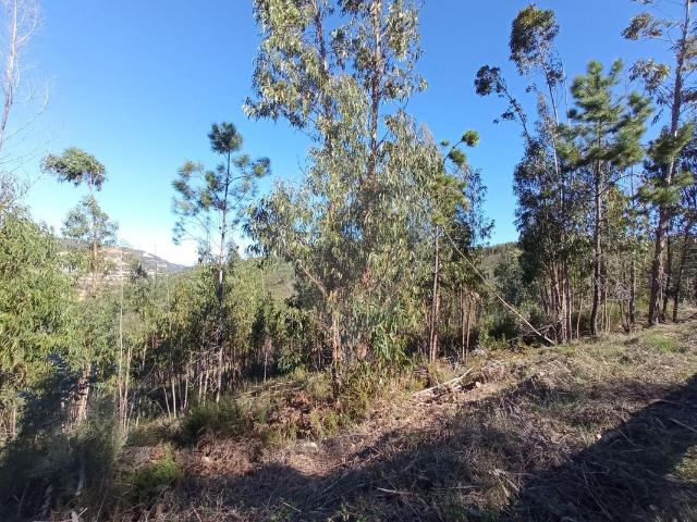 Terreno à venda em Vila de Rei
