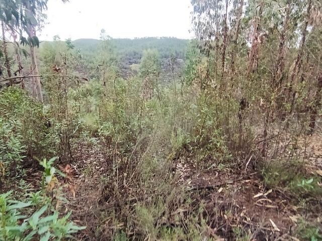 Terreno à venda em Vila Nova da Barquinha