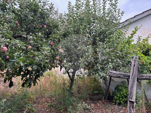 Terreno à venda em Vinhais
