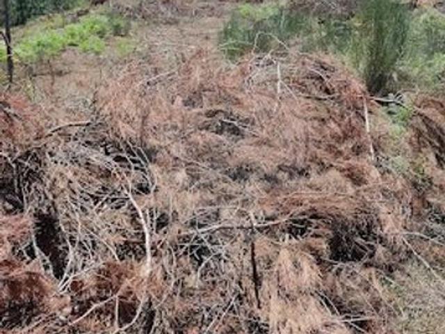 Terreno à venda em Viseu