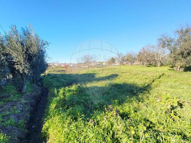 Terreno à venda em Viseu