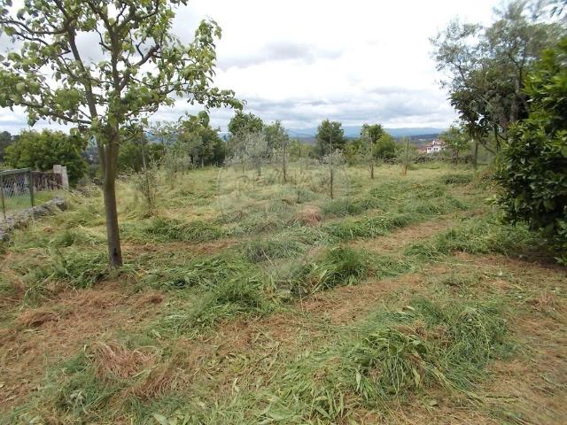 Terreno à venda em Viseu