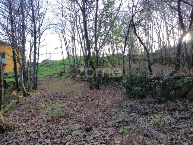 Terreno à venda em Viseu Almargem 1376m2