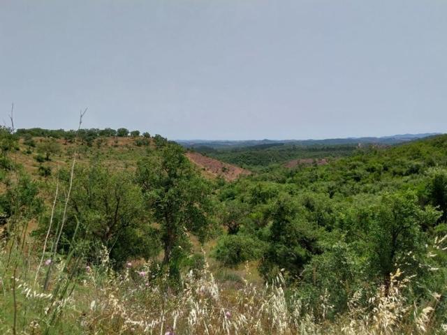 Terreno à venda Odemira, Portugal