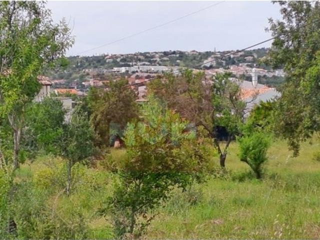 Terreno à venda Loulé, Faro
