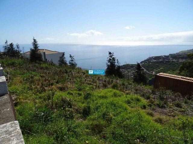 Terreno à venda Loreto, Calheta, Madeira