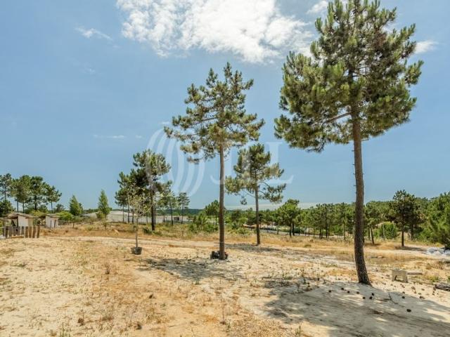 Terreno à venda Lagoa Formosa, Grândola, Setúbal