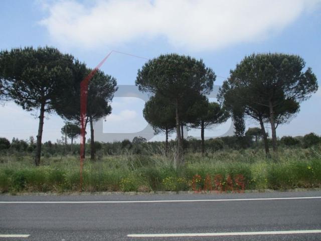 Terreno à venda Montijo, Portugal