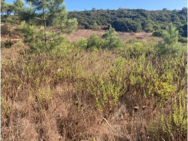 Terreno à venda Meco, Sesimbra, Setúbal