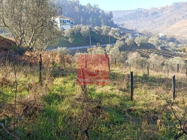 Terreno à venda no concelho de Lamego, Viseu | 26083521105