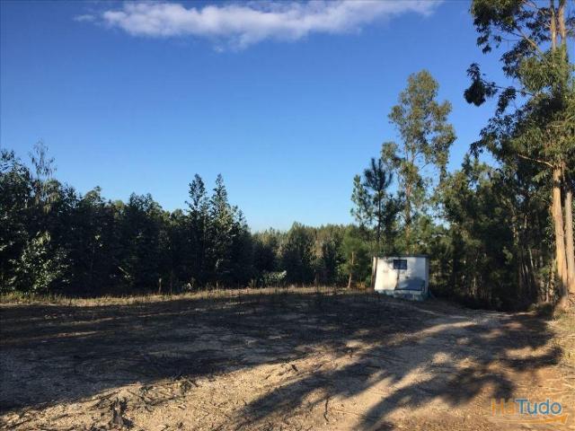 Terreno à venda no concelho de Leiria, Leiria | 26083437848