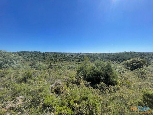 Terreno à venda no concelho de Tomar, Santarém | 26083782899