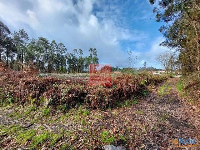 Terreno à venda no concelho de Viana do Castelo, Viana do Castelo | 26083464633