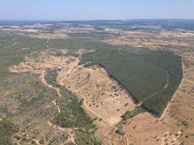 Terreno à venda Santiago do Cacém, Setúbal