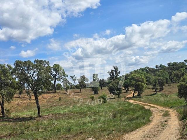 Terreno à venda Sao Bartolomeu da Serra, Santiago do Cacém, Setúbal
