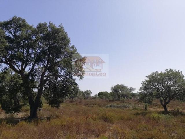 Terreno à venda Serra de Grandola, Grândola, Setúbal