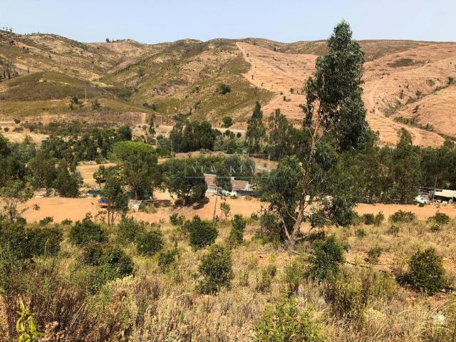 Terreno à venda Silves, Faro