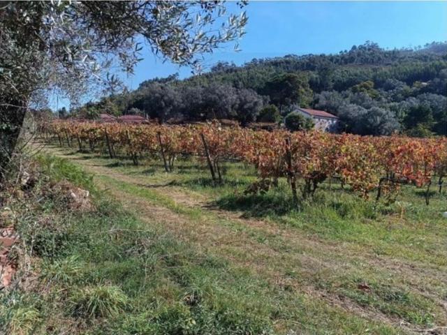 Terreno à venda Ponte de Lima, Viana do Castelo