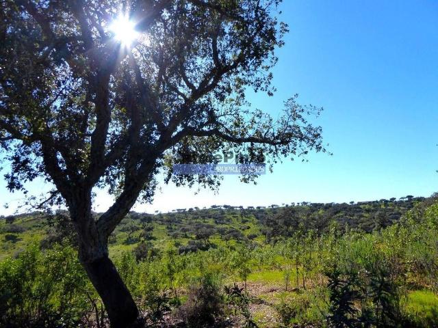 Terreno à venda Portel, Évora