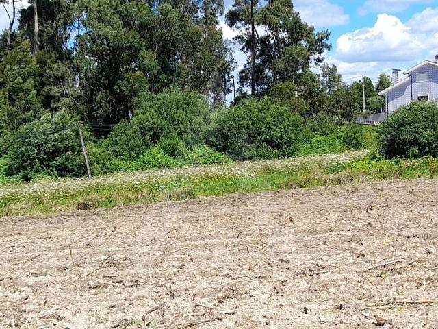 Terreno à venda Patela, Aveiro
